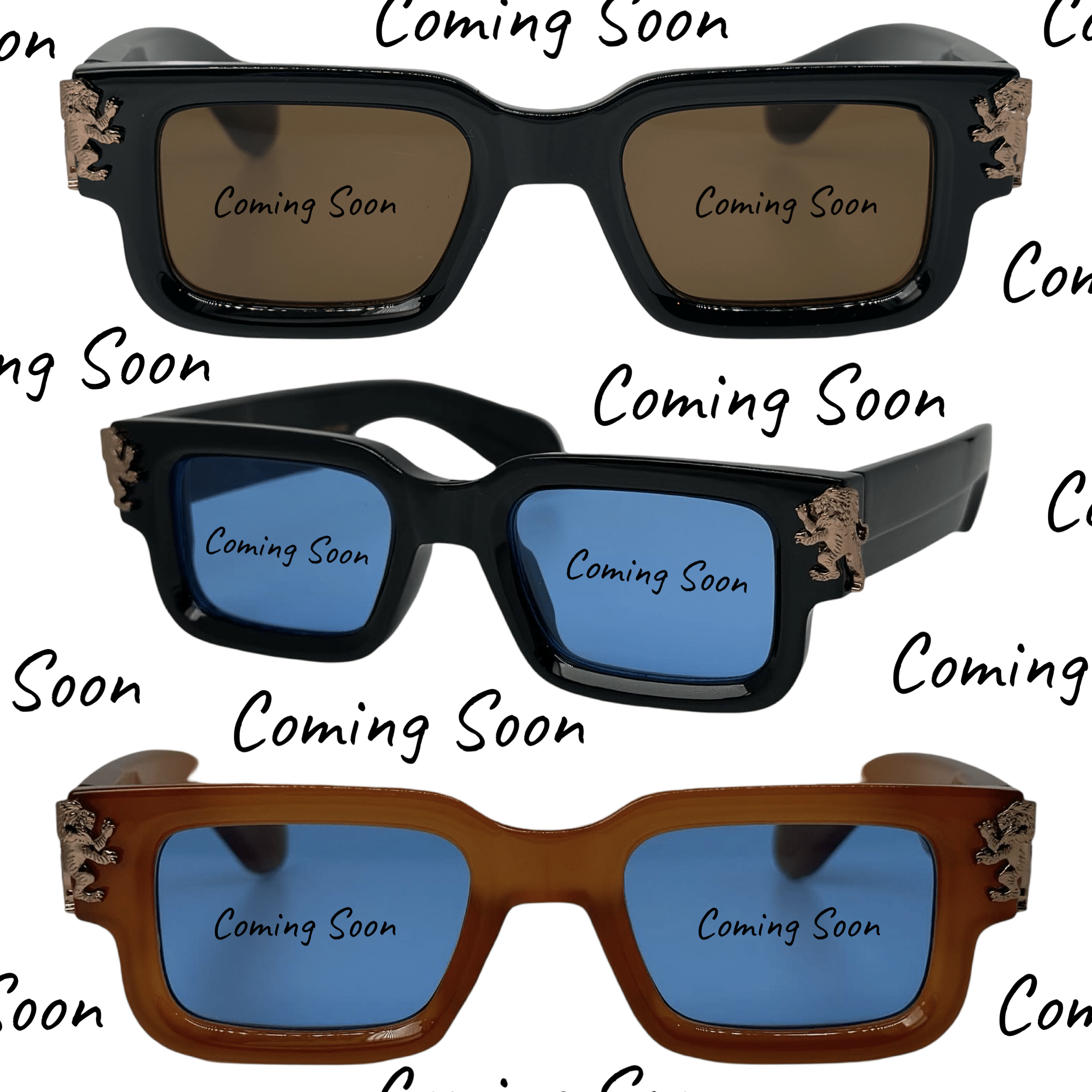 Blog #11 - Coming Soon - Lion's Tale Studios