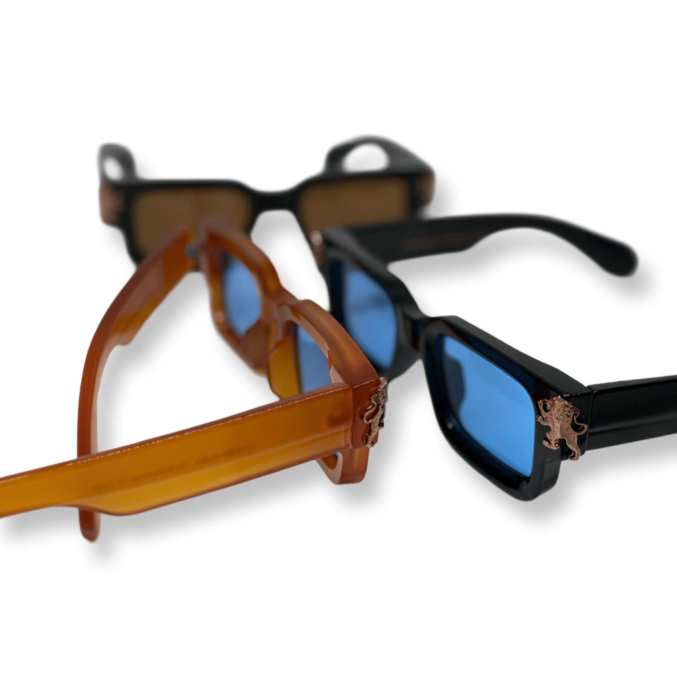 Blog #16 - LTS Eyewear Available - Lion's Tale Studios