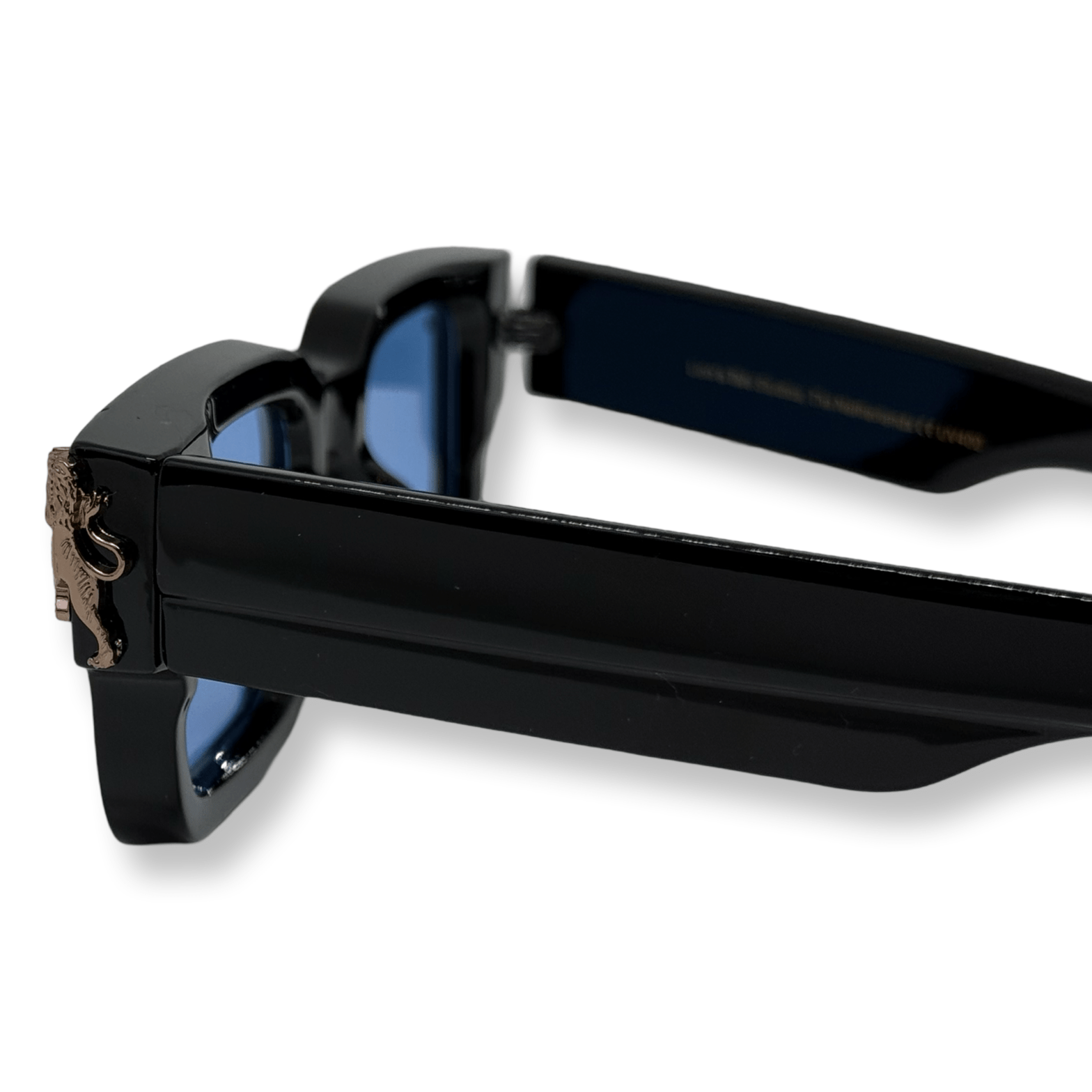 Roaring Lion's Eyewear - Lion's Tale Studios