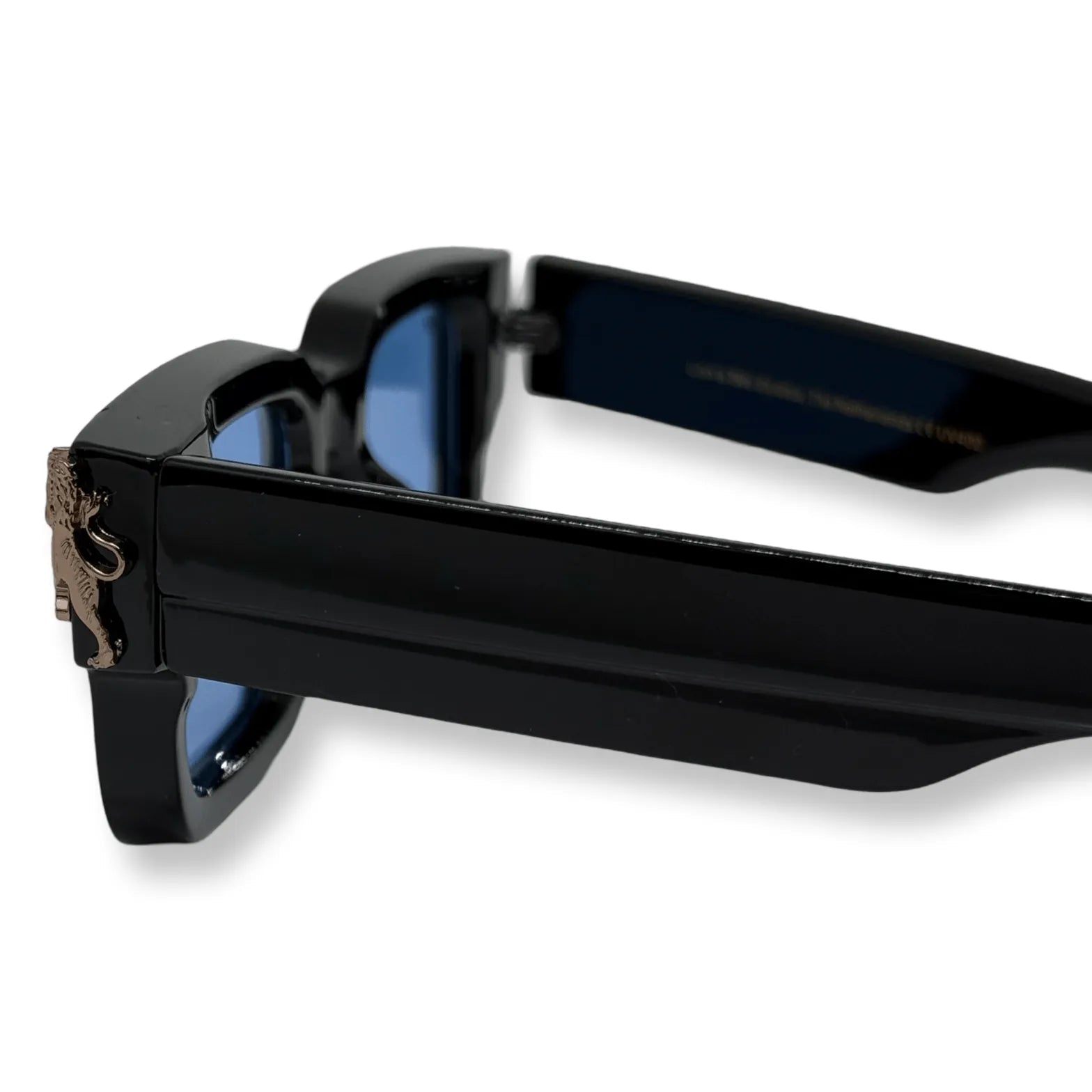 Roaring Lion's Eyewear - Lion's Tale Studios