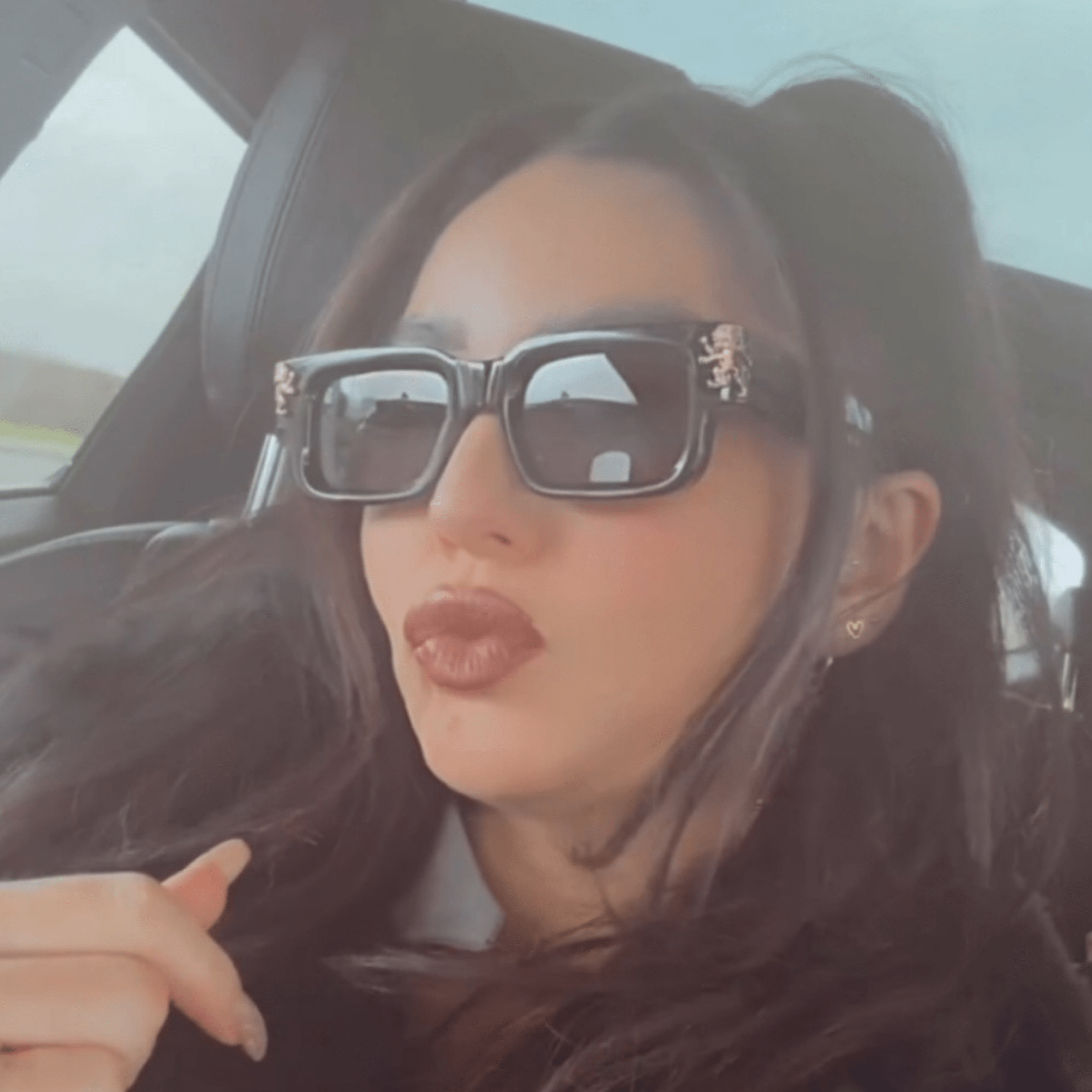 Roaring Lion's Eyewear - Lion's Tale Studios