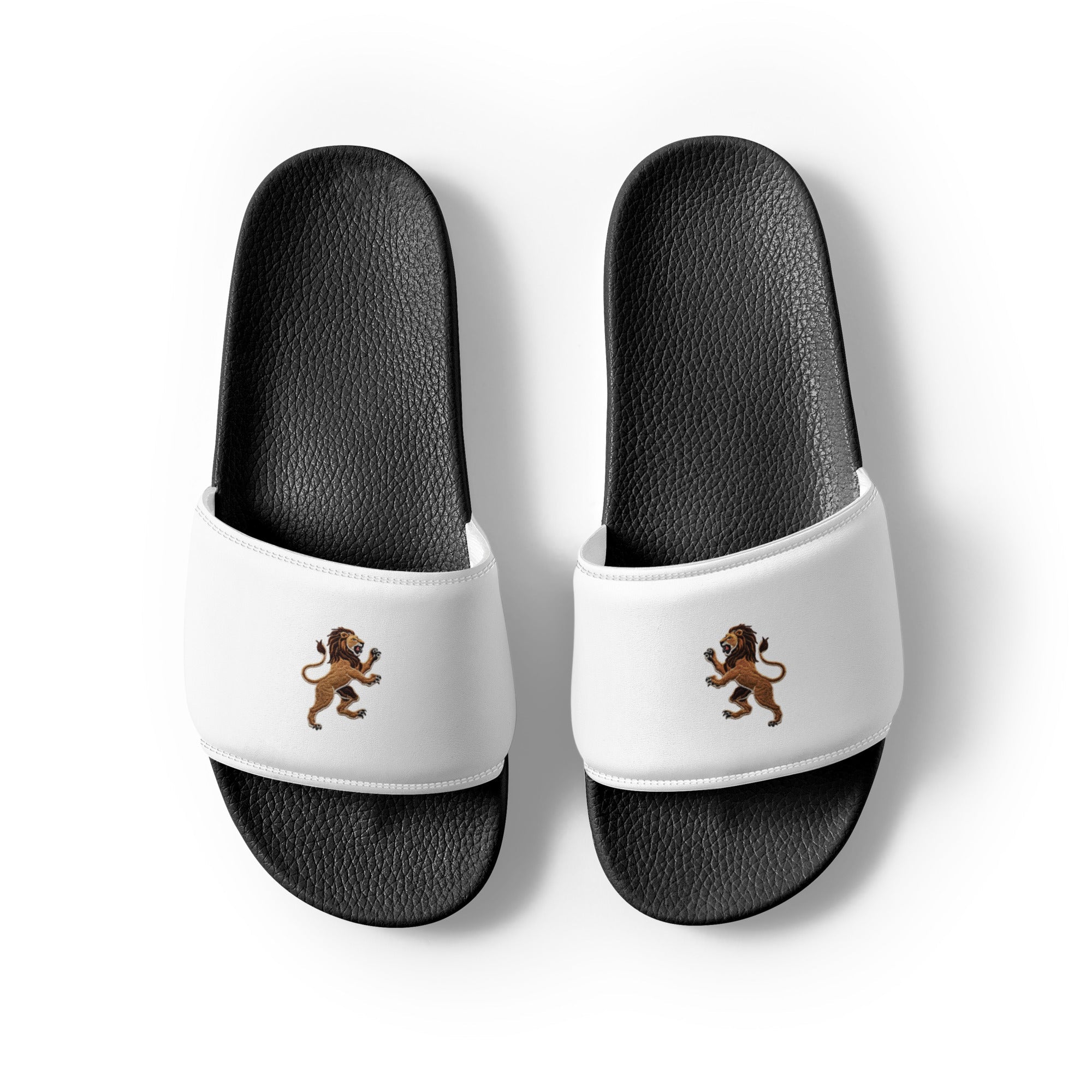 Slides with LTS Roaring Lion Logo - Lion's Tale Studios