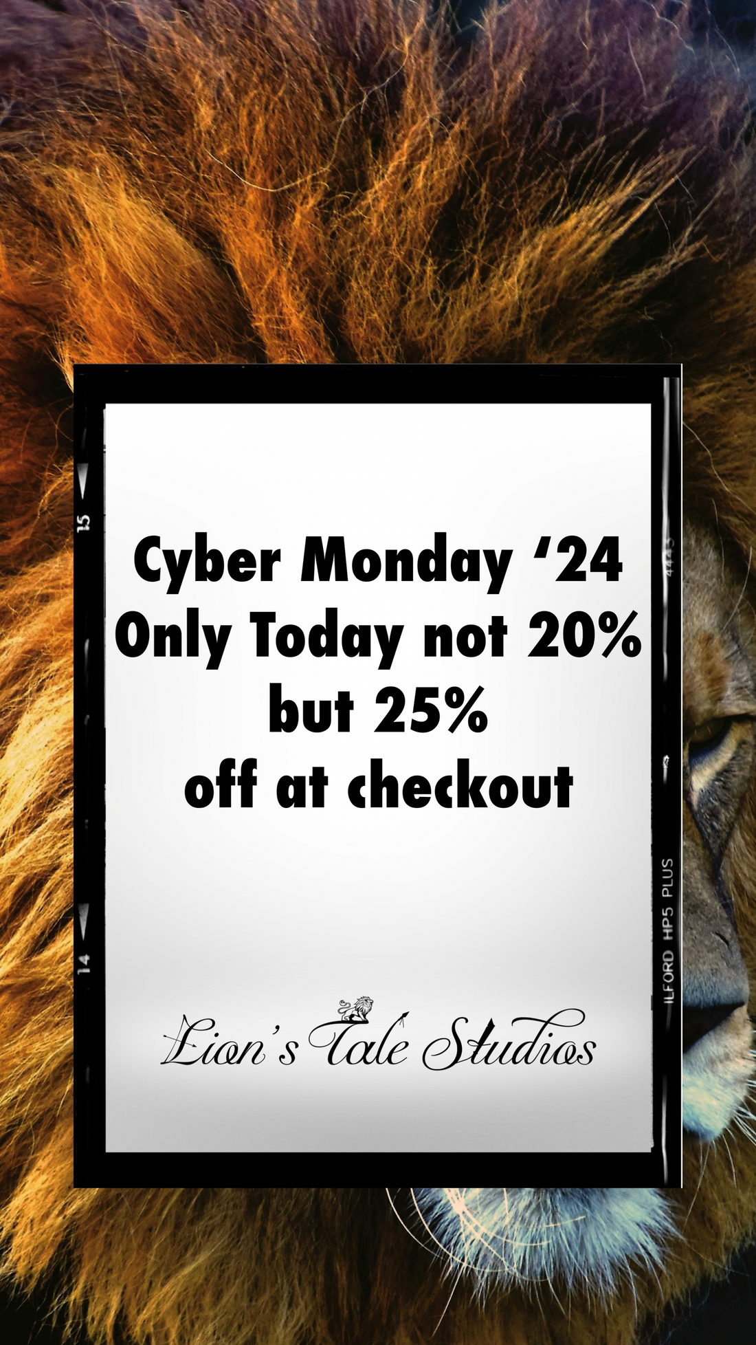 Blog #19 - LTS Cyber Monday Exclusive