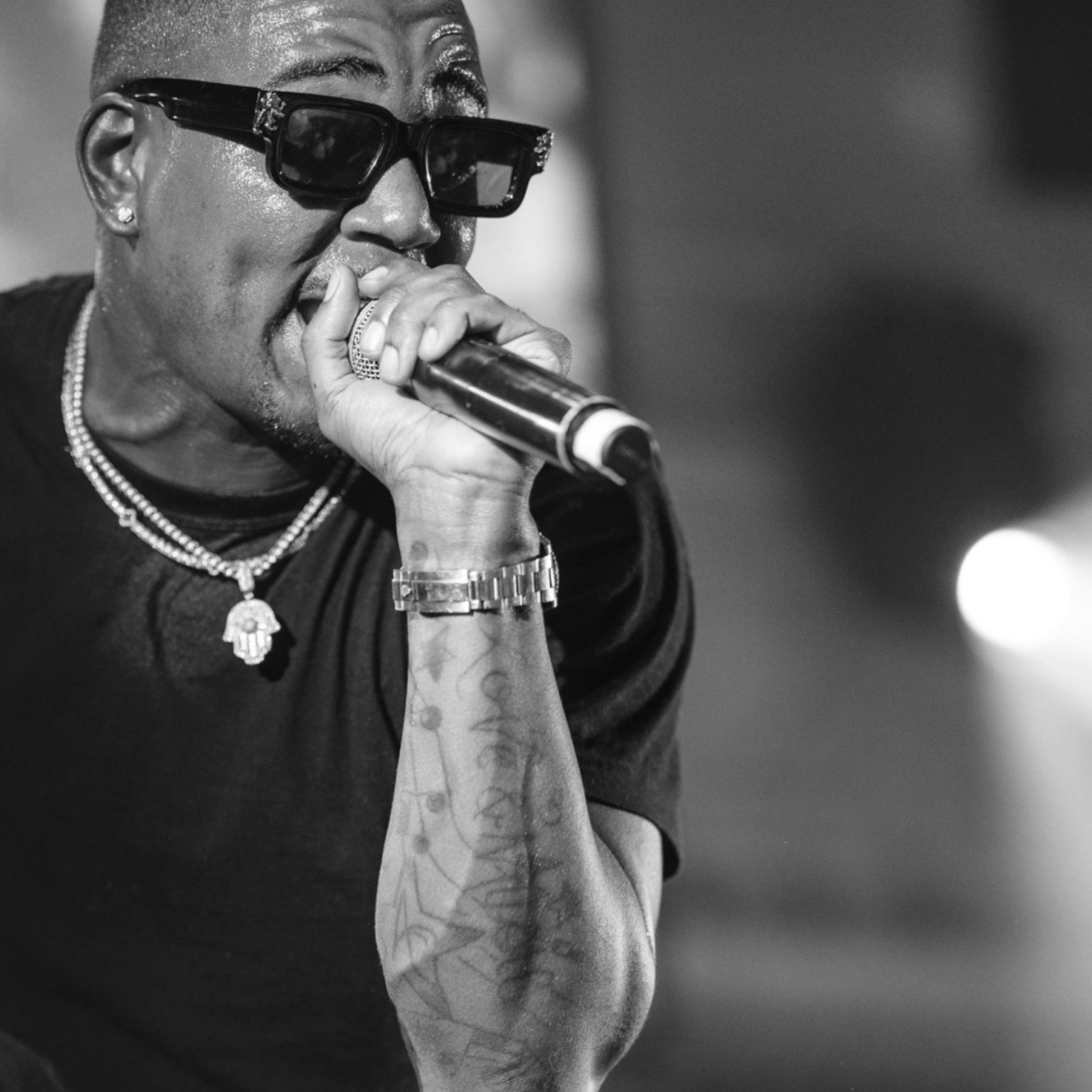 Blog #124 - One of LTS's New Brand Ambassadors - Lion's Tale Studios