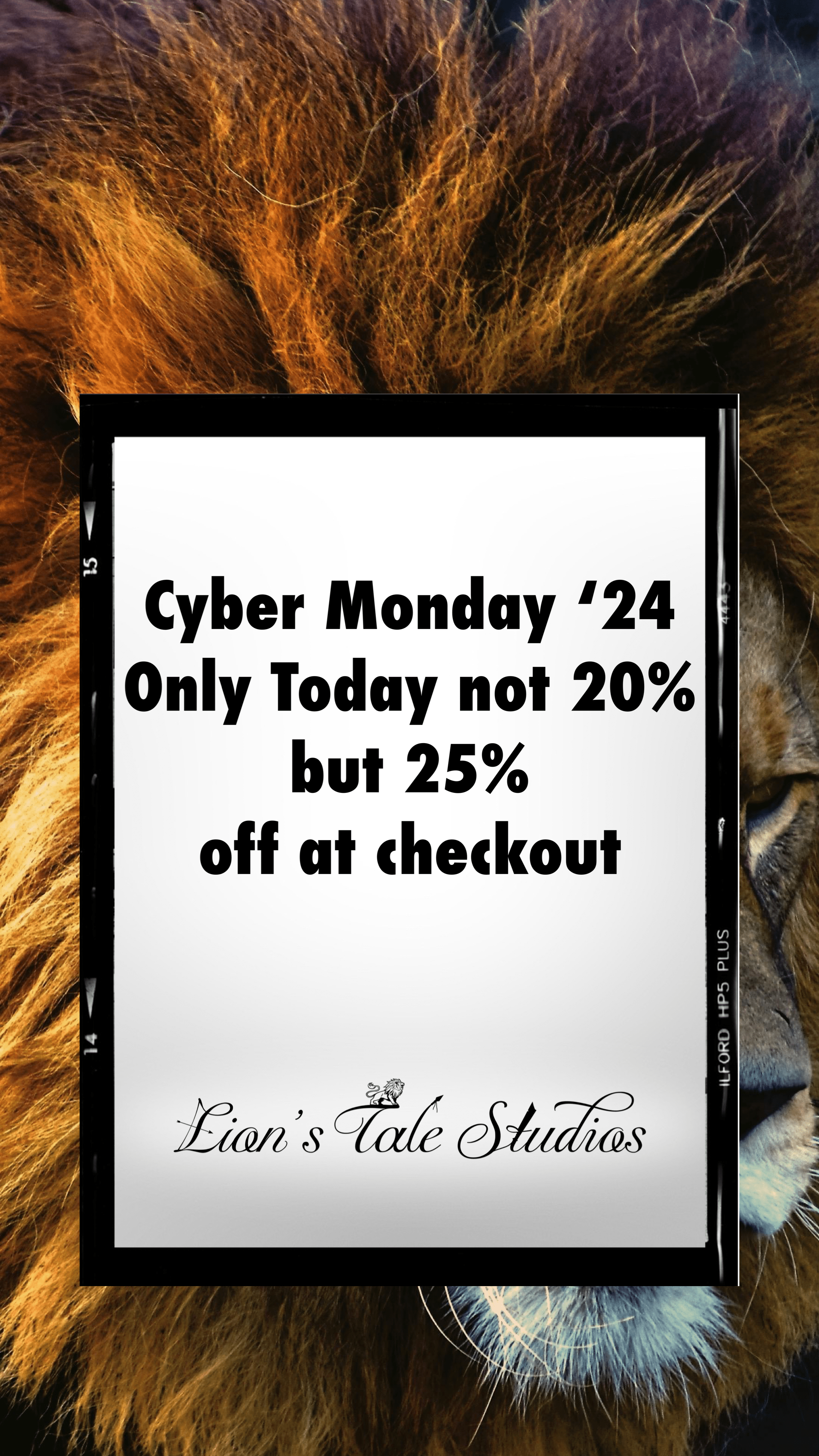 Blog #19 - LTS Cyber Monday Exclusive - Lion's Tale Studios
