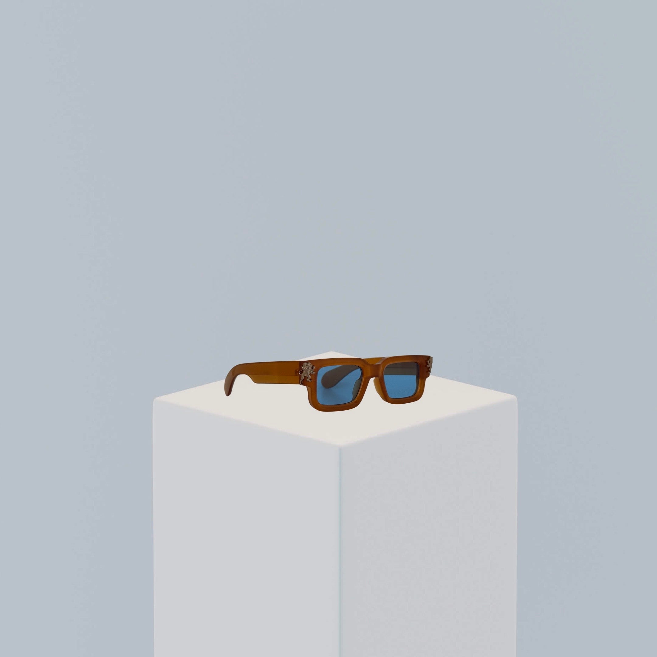 Sky Dune jet black light blue light brown blue lenses blauwe lenzen tea brown gitzwart theebruin eyewear zonnebrillen zonnebril shades bruin zwart lion's tale studios lts nederland holland mjpp eyewear piece festival must-have season seizoen zomer summer