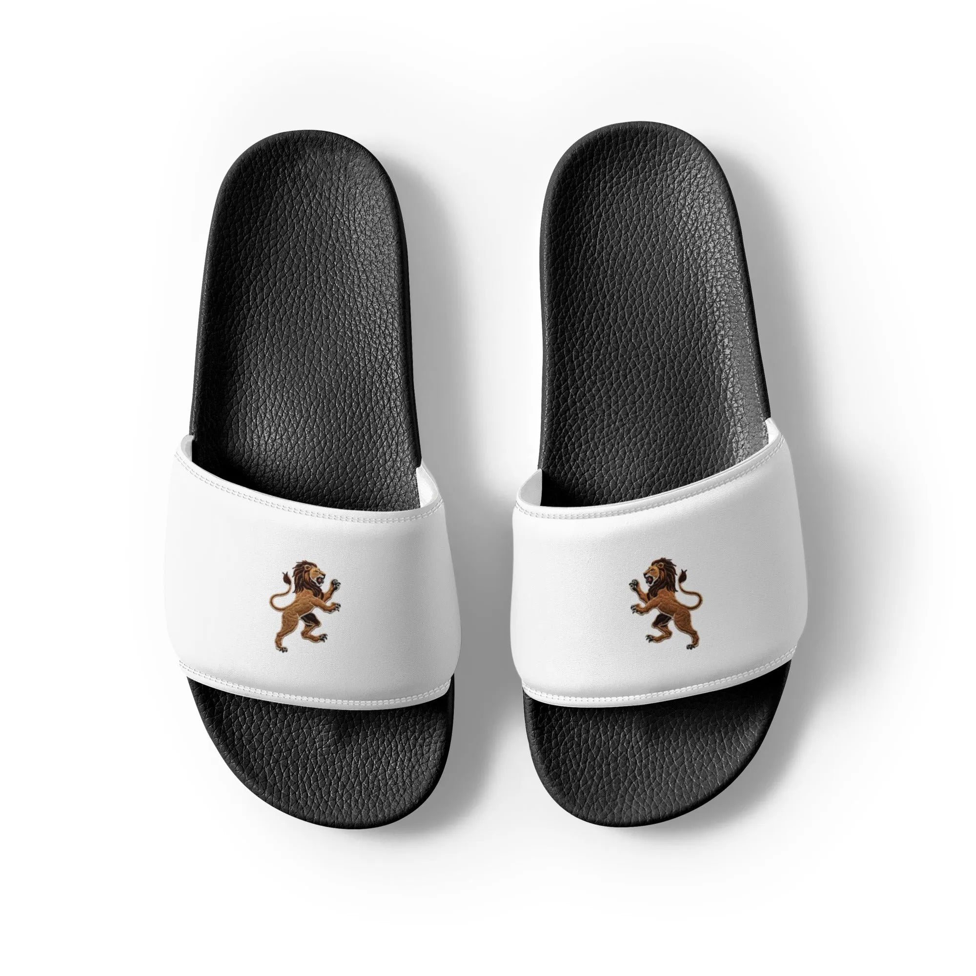 Slides with LTS Roaring Lion Logo - Lion's Tale Studios