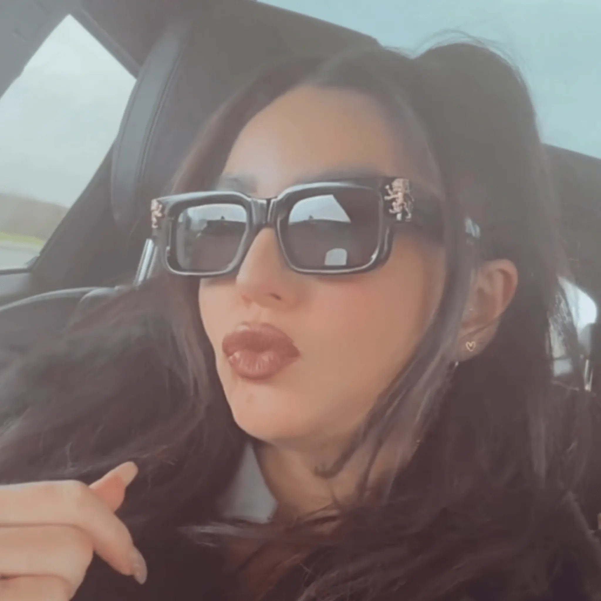 Roaring Lion's Eyewear - Lion's Tale Studios