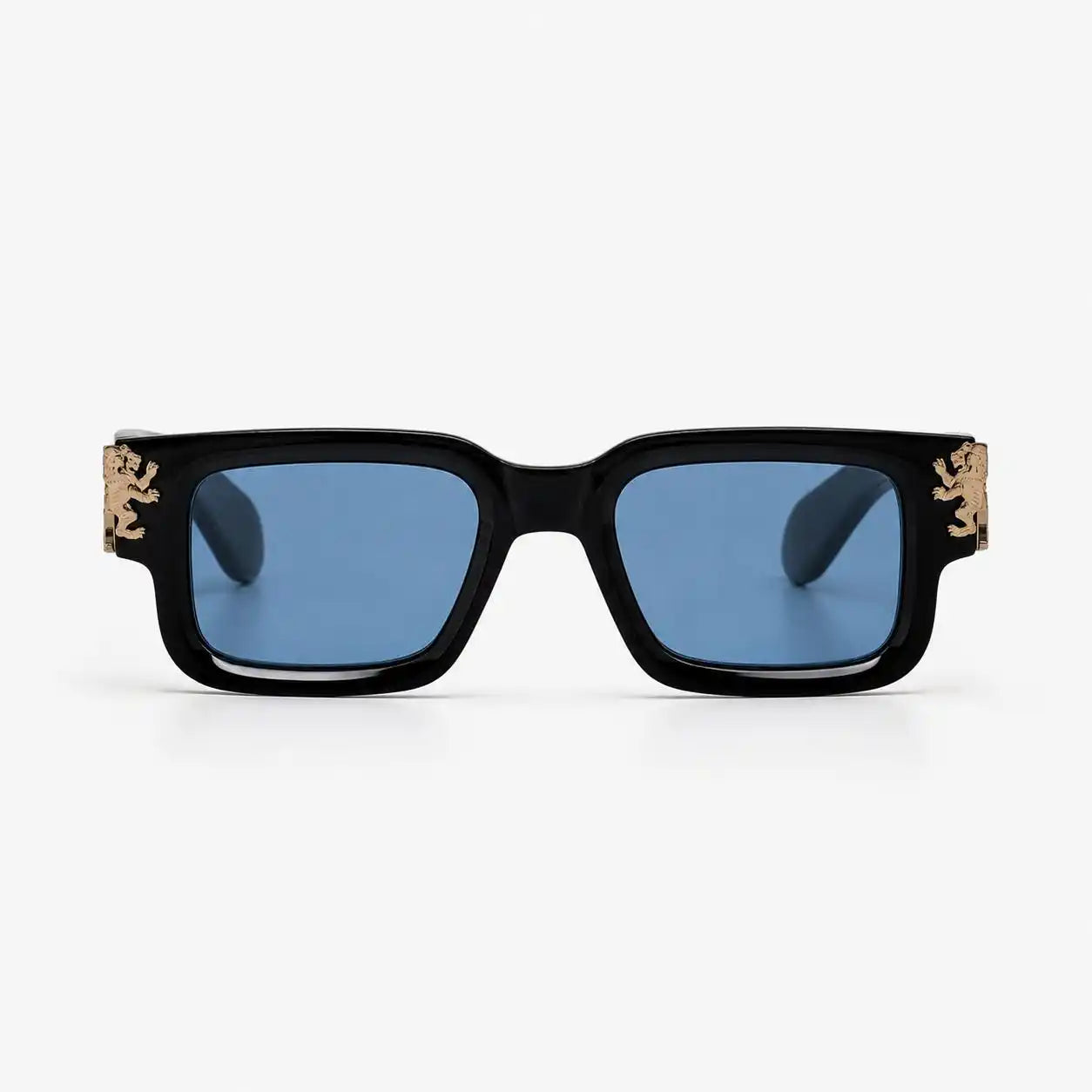 Roaring Lion's Eyewear | Lion's Tale Studios