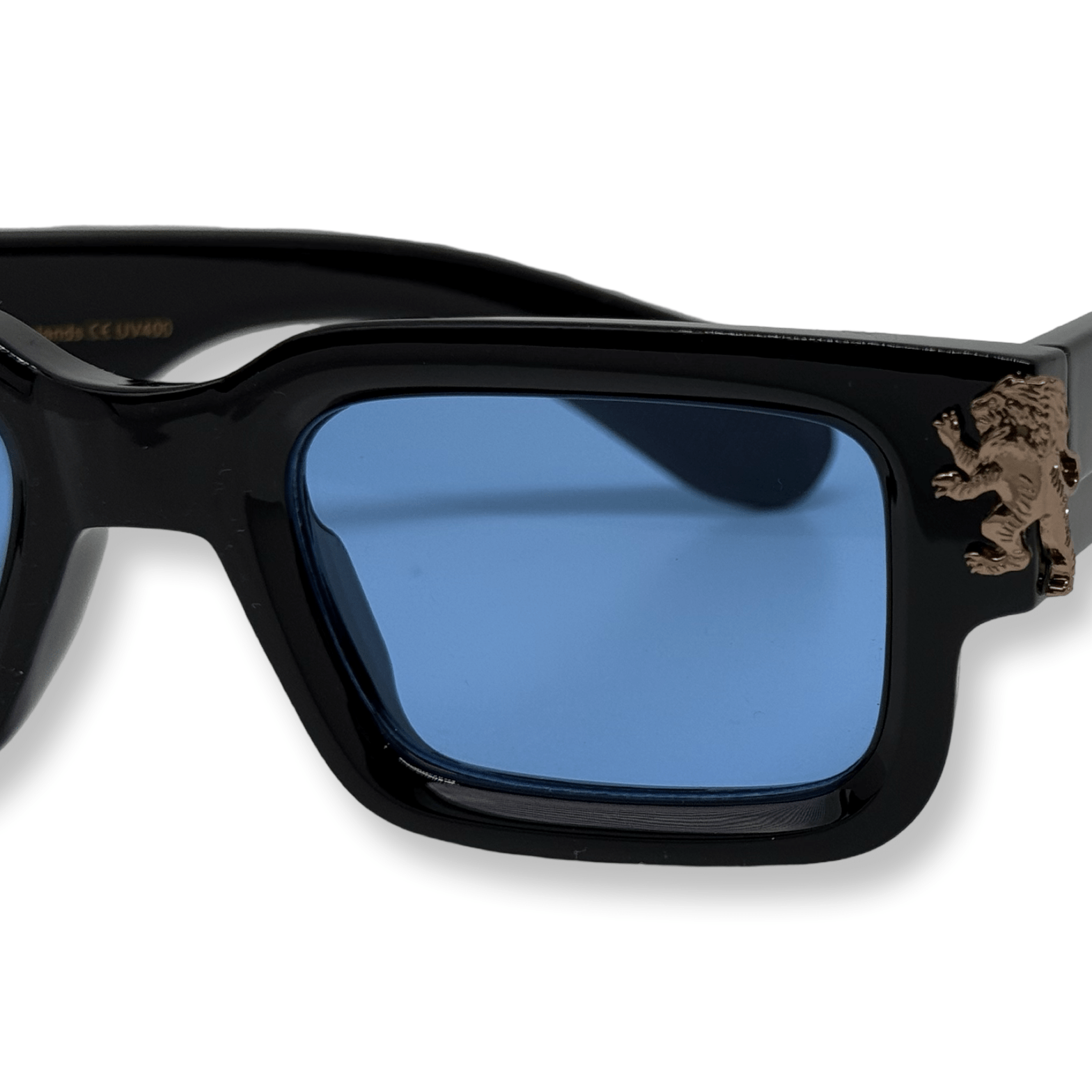 Roaring Lion's Eyewear - Lion's Tale Studios