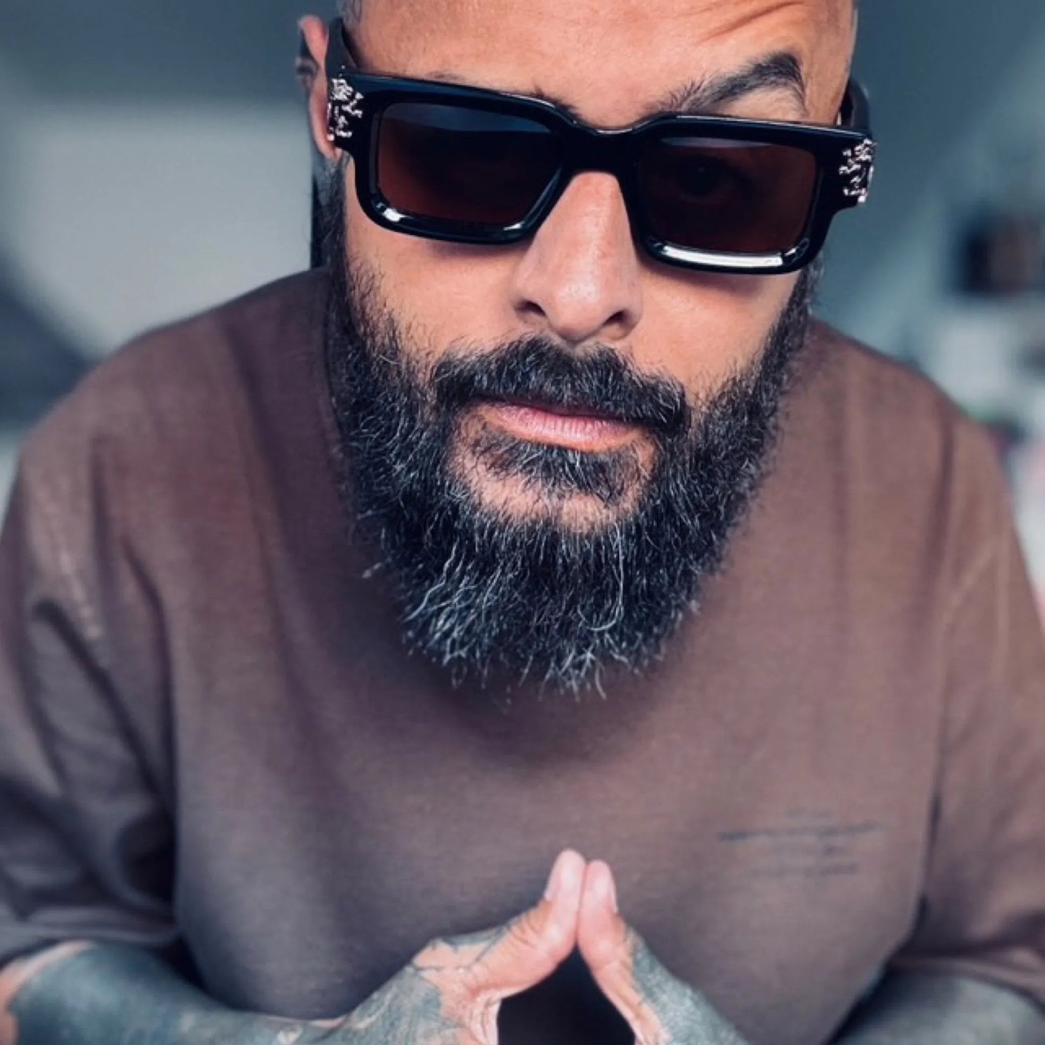 Roaring Lion's Eyewear - Lion's Tale Studios