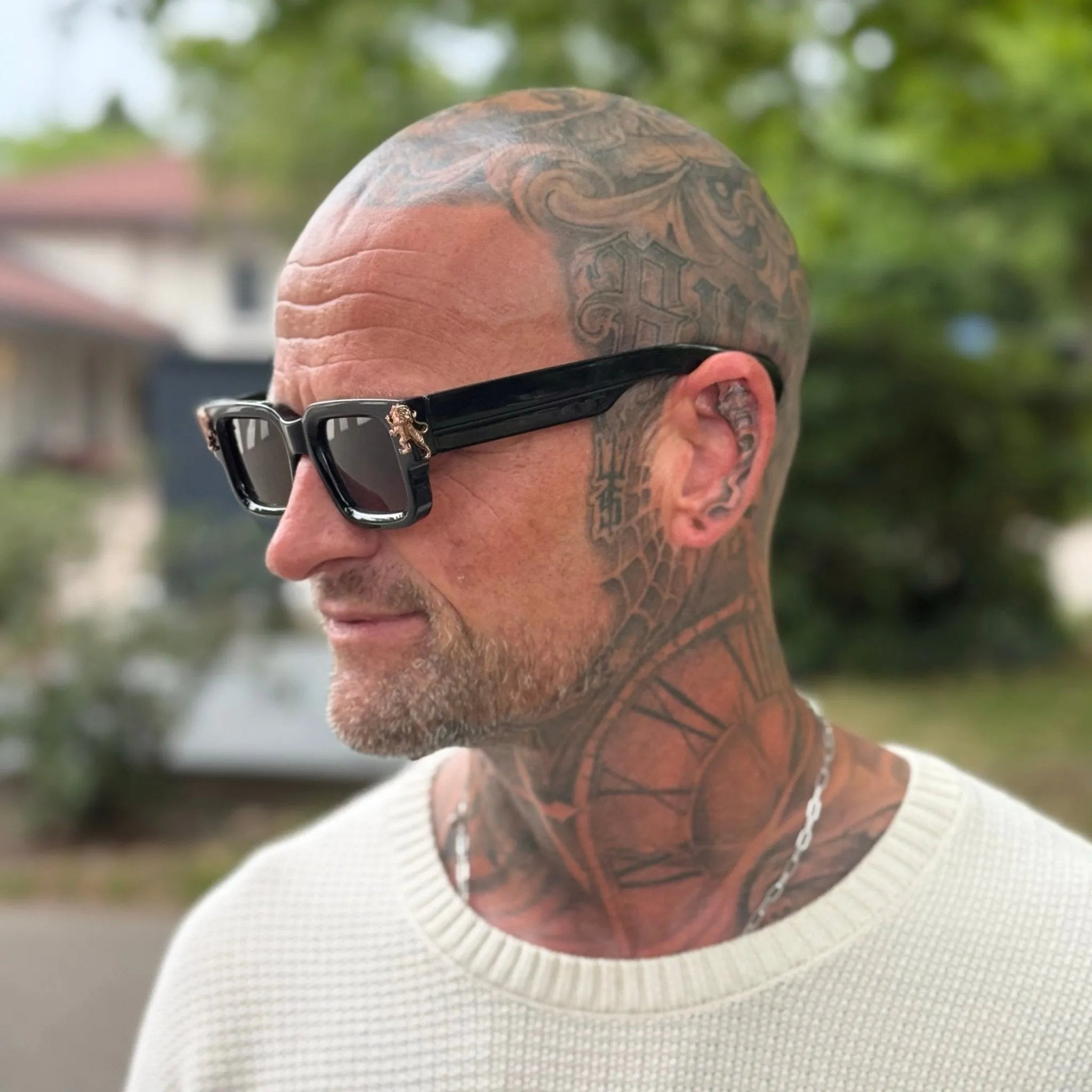 Roaring Lion's Eyewear - Lion's Tale Studios