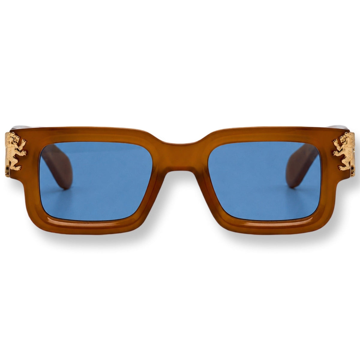Roaring Lion's Eyewear | Lion's Tale Studios