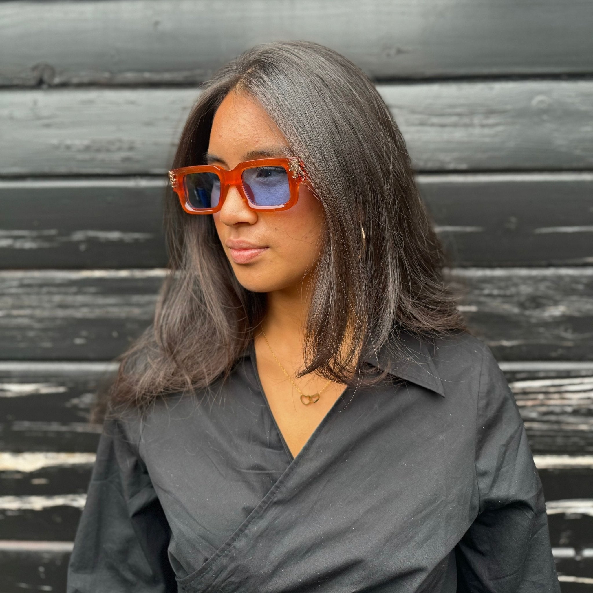 Roaring Lion's Eyewear - Lion's Tale Studios