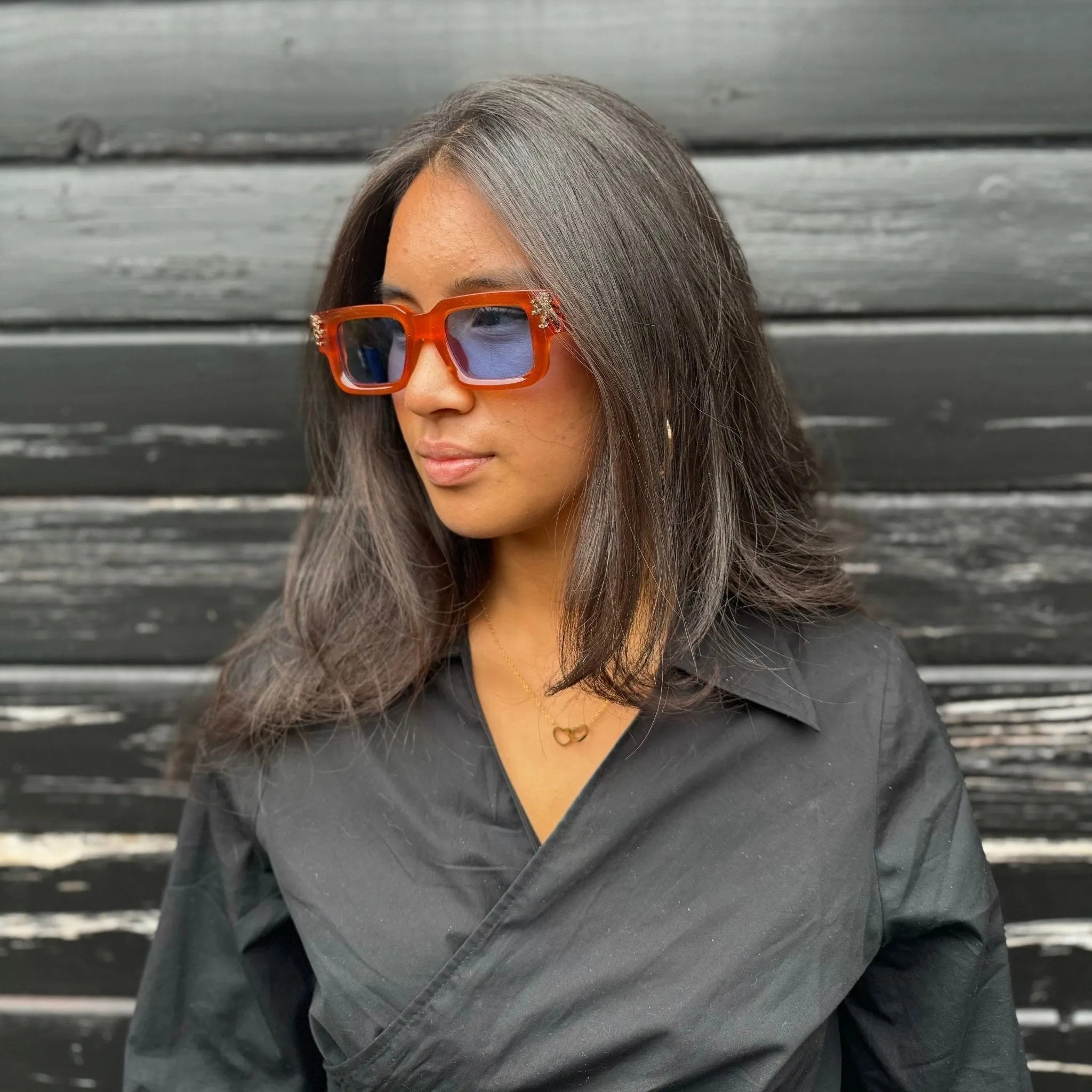 Roaring Lion's Eyewear - Lion's Tale Studios